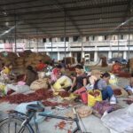 Warehouse image with chilli shorting