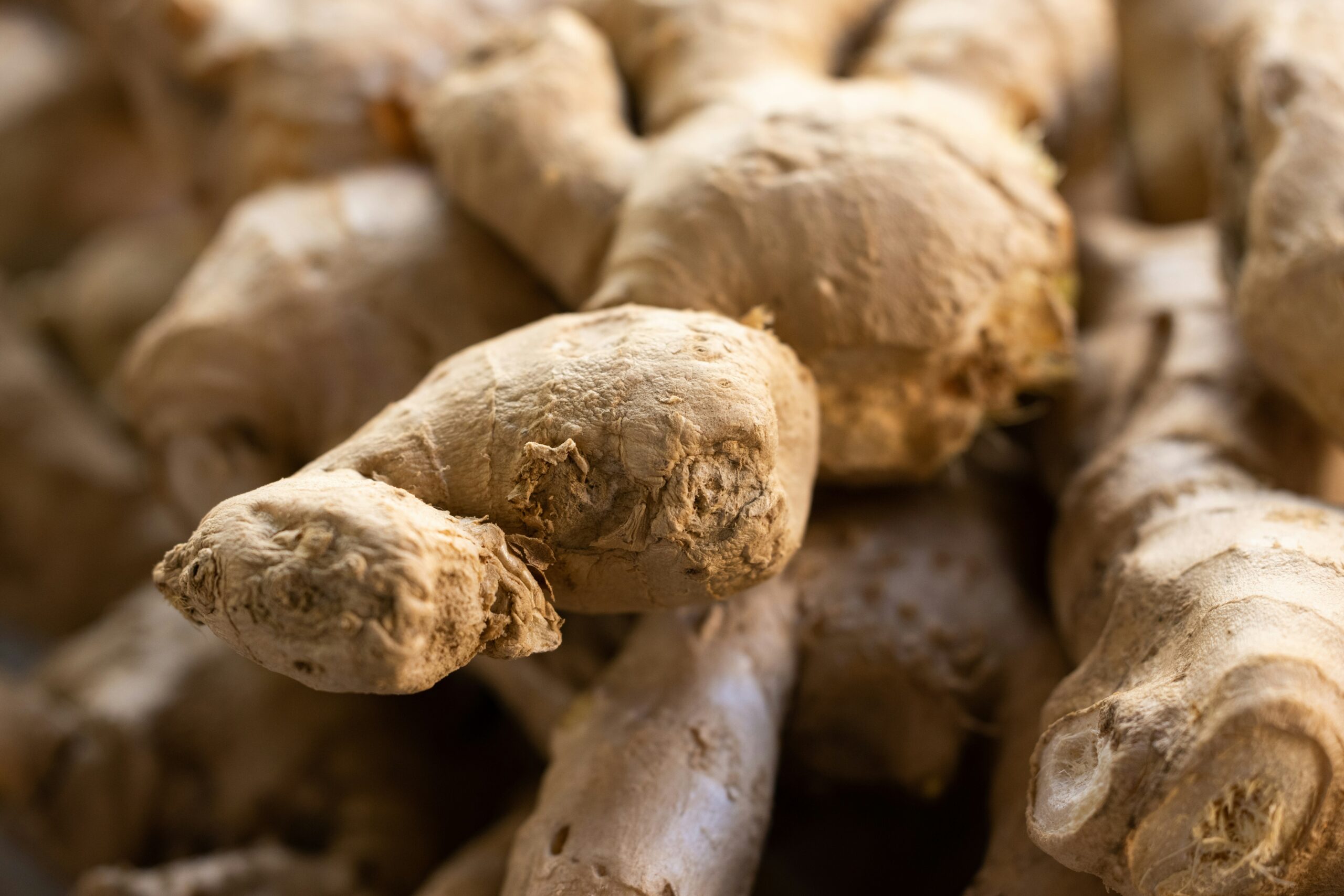 premium grade ginger premium grade ginger