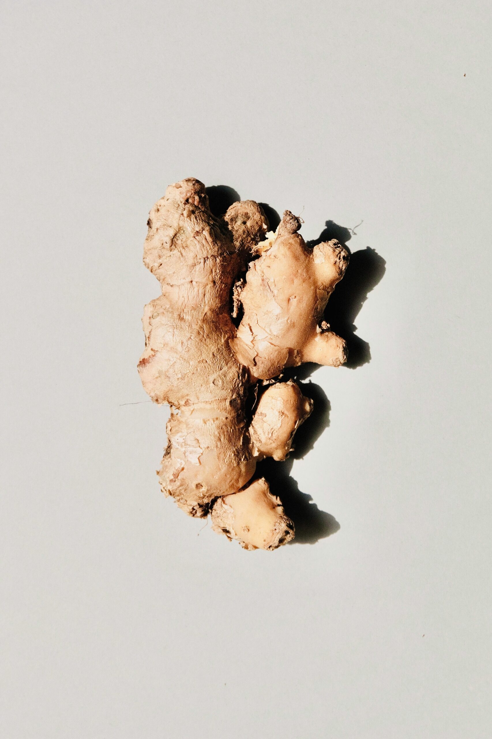 premium grade ginger premium grade ginger