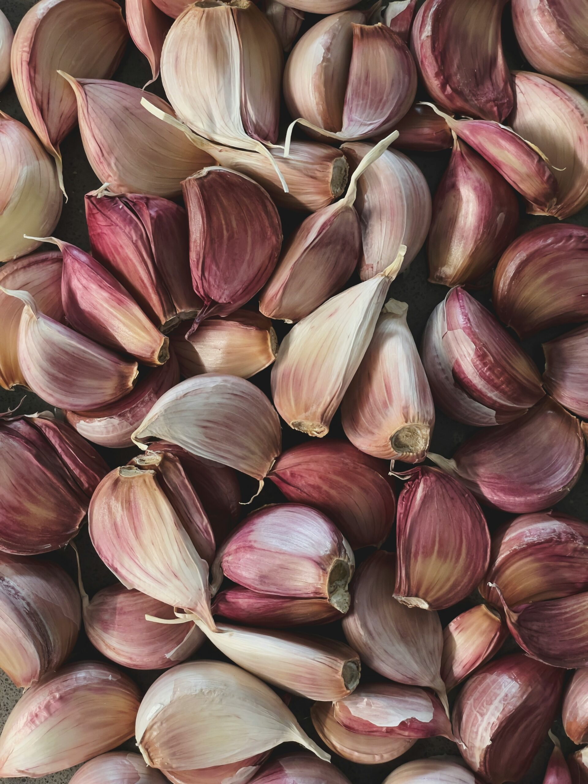 premium grade garlic premium grade garlic