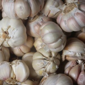 premium grade garlic